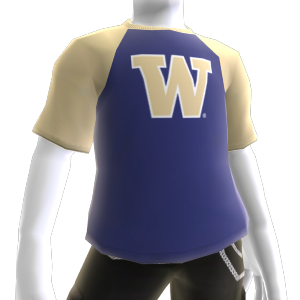 university of washington t shirt