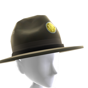 army drill sergeant hat