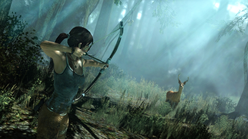 Image from Tomb Raider